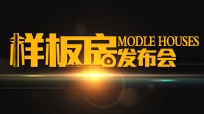 样板间发布会